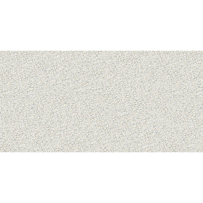 G22161215L